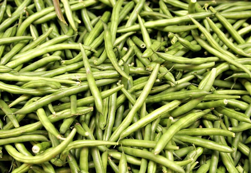 Reliable produce partner